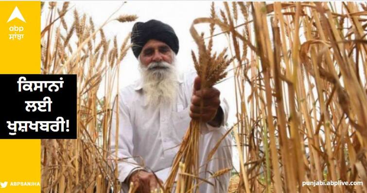 Good news for farmers! This time the wheat will be profitable read more information Punjab News: ਕਿਸਾਨਾਂ ਲਈ ਖੁਸ਼ਖਬਰੀ! ਇਸ ਵਾਰ ਕਣਕ ਕਰੇਗੀ ਮਾਲੋਮਾਲ