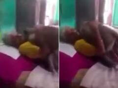 Viral Video: ਬਜੁਰਗ ਔਰਤ ਰੋਜਾਨਾ ਲੰਗੂਰ ਨੂੰ ਦਿੰਦੀ ਸੀ ਖਾਣਾ, ਬੀਮਾਰ ਪਈ ਹਾਲ ਪੁੱਛਣ ਘਰ ਪਹੁੰਚਿਆ, ਬਹੁਤ ਭਾਵੁਕ ਹੈ ਇਹ ਵੀਡੀਓ