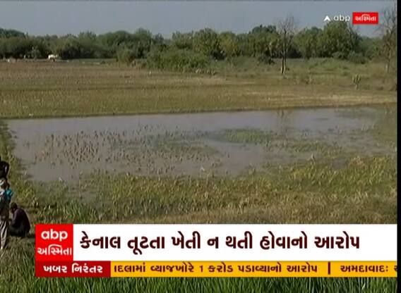 Mehsana : કડીના રંગપુરામાં કેનાલ તૂટી પડતા 35 વીઘા જમીનમાં ફરી વળ્યા પાણી, જુઓ અહેવાલ