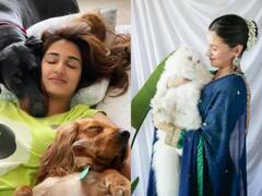 Alia Bhatt से Disha Patani तक, इंसानों से ज्यादा आलीशान जिंदगी जीते हैं इन हसीनाओं के पालतू जानवर, फॉलोवर्स जानकर रह जाएंगे दंग