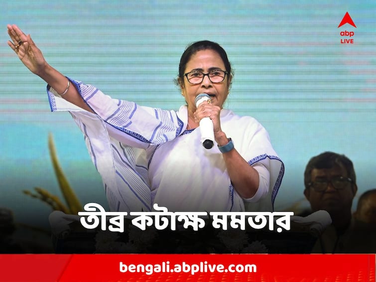 Chief Minister Mamata Banerjee Attacks Central Team visit over west bengal visit creates political tension Mamata Banerjee : 'কে ডিম খাবে, নাকি আলুভাজা খাবে, তারজন্যও সেন্ট্রাল টিম' তীব্র কটাক্ষ মমতার