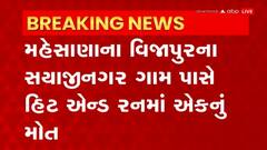 Hit And Run: સયાજીનગર ગામ પાસે અજાણ્યા વાહનની અડફેટે બાઈકસવારનું મોત