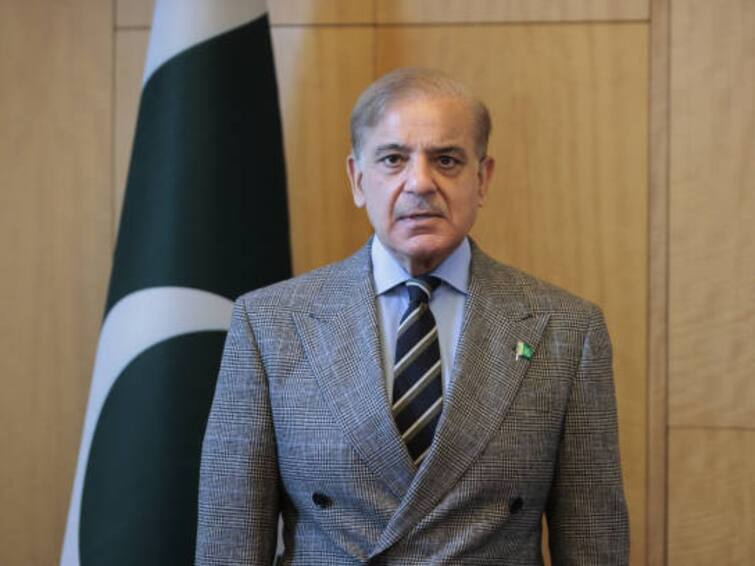 IMF Giving 'Very Tough Time': Pakistan PM Shehbaz Sharif Says On $7 Bn Loan Review