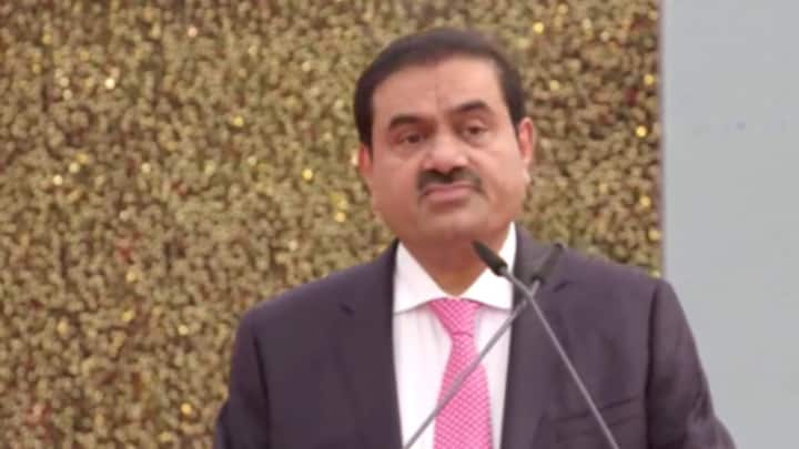 ন্যাথান অ্যান্ডারসন নামে এক ব্যক্তি হিন্ডেনবার্গ সংস্থাটি তৈরি করেন। ইক্যুয়িটি, ক্রেডিটের মতো বিষয়গুলি নিয়ে গবেষণা করে এই সংস্থা।