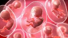 અવકાશમાં જન્મશે બાળકો, IVF ટેક્નોલોજીથી પૃથ્વીની ભ્રમણકક્ષામાં બનાવશે Space Babies