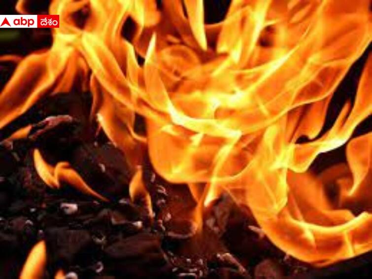 Sensational Verdict in Kakinada girls burning alive case life imprisonment DNN Kakinada Crime: బాలిక సజీవ దహనం కేసులో సంచలన తీర్పు - నిందితుడికి జీవిత ఖైదు, భారీ జరిమానా