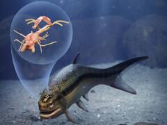 319 मिलियन साल पुरानी मछली की खोपड़ी की खोज, ऐसे रिसर्चर ने किया खुलासा