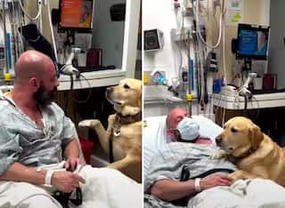 Viral Video: ਕੁੱਤਾ ਇਨਸਾਨ ਦਾ ਸਭ ਤੋਂ ਵਧੀਆ ਦੋਸਤ ਹੁੰਦਾ ਹੈ..ਇਸ ਵੀਡੀਓ ਨੇ ਇੱਕ ਵਾਰ ਫਿਰ ਇਹ ਸਾਬਤ ਕਰ ਦਿੱਤਾ