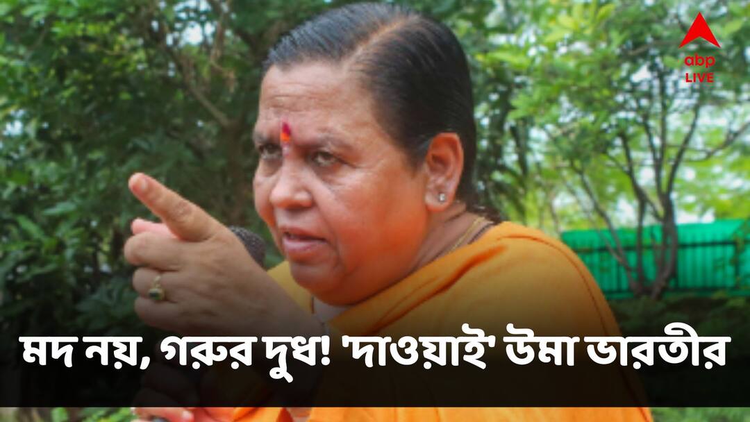 Senior BJP Leader Uma Bharti Ties Stray Cows In Front Of Liquor Shops As She Suggests To Drink Milk Instead Of Liquor Uma Bharti:'মদ নয়, দুধ খান', বার্তা দিতে মদের দোকানের সামনে গরুর খুঁটি বাঁধলেন উমা ভারতী