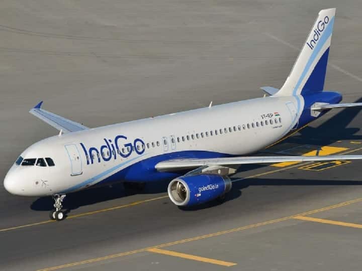 Indigo Airlines Company IndiGo Q3 Results Rs 1,422 Crore