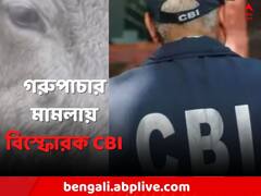 গরুপাচারকাণ্ডে ১১৫টি ভুয়ো অ্যাকাউন্টে সই ব্যাঙ্ক ম্যানেজারের ! বিস্ফোরক দাবি CBI-র