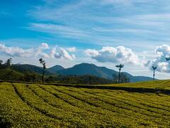 Valentine को बनाना चाहते हैं स्पेशल, तो पार्टनर के साथ घूम आइए ये Hill Stations