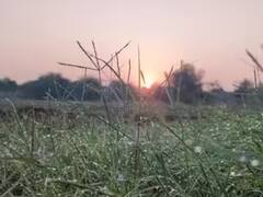 राजस्थान में आज खिली रहेगी धूप, जानें मध्य प्रदेश में कैसा रहेगा मौसम का मिजाज