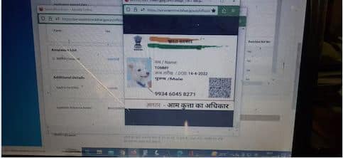application submitted for making dog caste certificate in gaya office Shocking: ਬਿਹਾਰ 'ਚ ਕੁੱਤਿਆਂ ਲਈ ਵੀ ਬਣ ਰਹੇ ਹਨ ਜਾਤੀ ਸਰਟੀਫਿਕੇਟ, ਅਰਜ਼ੀ ਦੇਖ ਕੇ ਸੀ.ਓ. ਸਾਹਿਬ ਦੇ ਉੱਡ ਗਏ ਹੋਸ਼