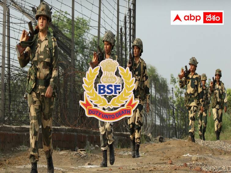 BSF has released notification for the recruitment of Veterinary Staff Posts BSF Recruitment: బీఎస్‌ఎఫ్‌లో వెటర్నరీ స్టాఫ్‌ పోస్టులు, వివరాలు ఇలా!