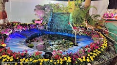 PHOTO : BMC कडून मुंबईकरांसाठी उद्यान प्रदर्शनाचं आयोजन; खास फुलं, फळं आणि वनस्पतींची झलक