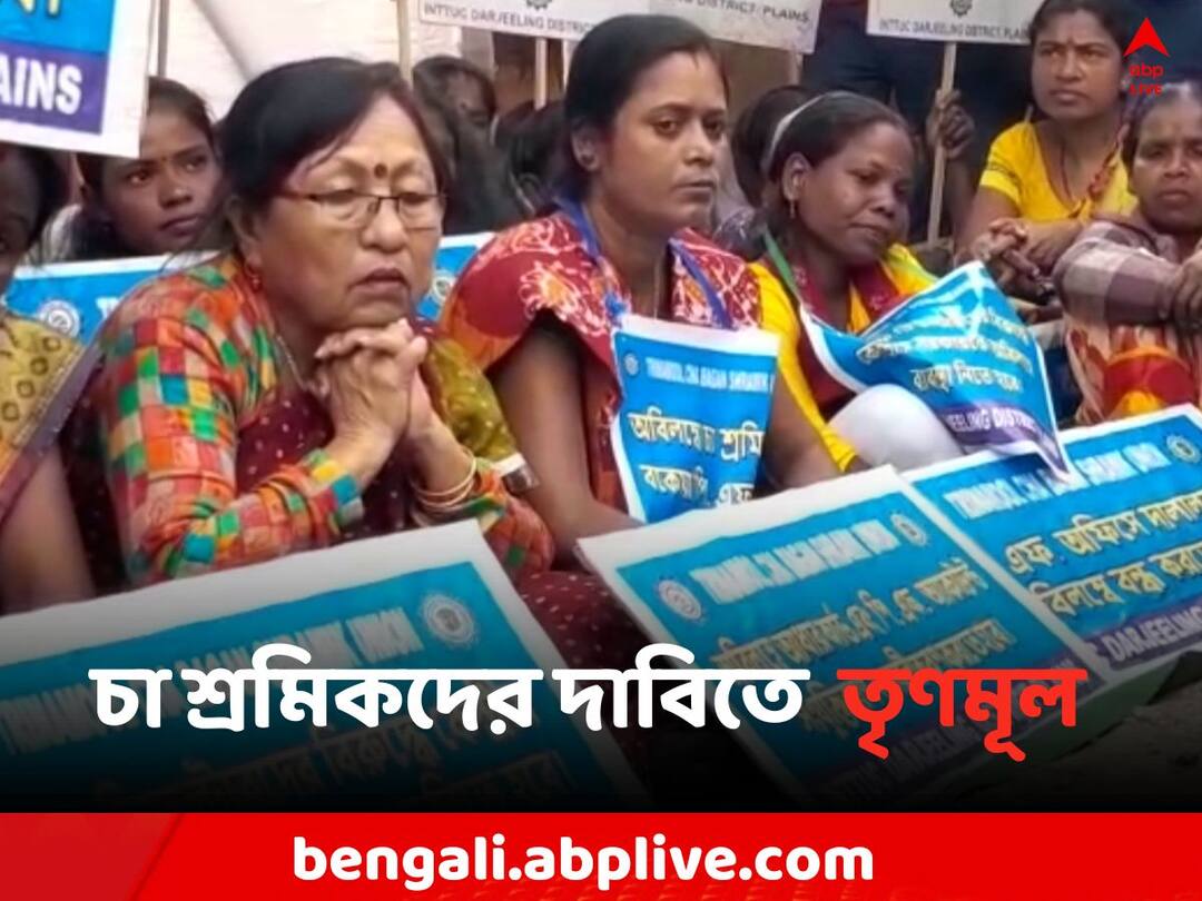 Darjeeling News TMC agitation Infront of BJP leader house on tea labors issue Darjeeling News: চা শ্রমিকদের দাবিতে BJP সাংসদের বাংলোর সামনে অবস্থান-বিক্ষোভে তৃণমূল