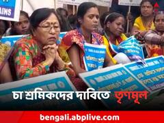 চা শ্রমিকদের দাবিতে BJP সাংসদের বাংলোর সামনে অবস্থান-বিক্ষোভে তৃণমূল