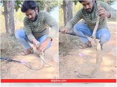 सांप ने खाना समझकर निगल ली प्लास्टिक पाइप, शख्स ने किया रेस्क्यू