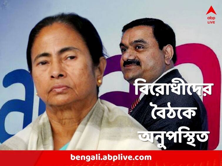 TMC skips Congress led meeting in parliament to oppose Centre on Adani Group Crisis Adani Group Crisis: আদানি গোষ্ঠীকে নিয়ে সংসদে চাপের মুখে কেন্দ্র, বিরোধীদের বৈঠকে গেল না তৃণমূল, উঠছে প্রশ্ন