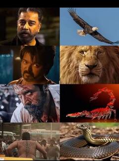 Bloody Sweet : சாக்லெட் கிண்டும் ரக்கட் பாய் லியோ..தளபதி 67 படத்தின் ட்ரெண்டிங் மீம்ஸ்!