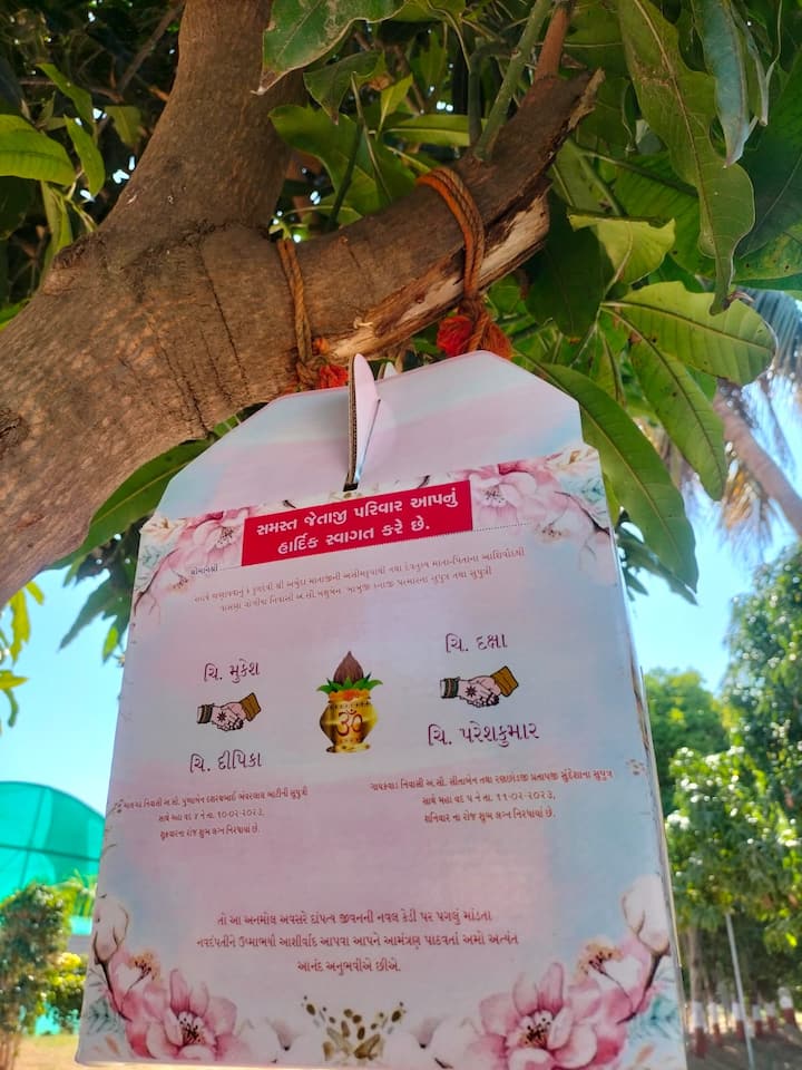 કોઈપણ ઘરમાં લગ્નનો પ્રસંગ આવે ત્યારે સૌથી પહેલાં કંકોત્રી આકર્ષક અને ગમી જાય એવી પસંદ કરવા સૌ કોઈ પોતપોતાનું મંતવ્ય રજૂ કરતા હોય છે. કંકોત્રી ગમે એટલી મોંઘી હોય કે આકર્ષક હોય છેવટે તો એમાં ભોજન સમારંભનો સમય જાણી ક્યાંક મૂકી દેવાતી હોય છે. જ્યારે પ્રસંગ પત્ત્યા પછી કંકોતરીનું કોઈ મહત્વ રહેતું નથી.