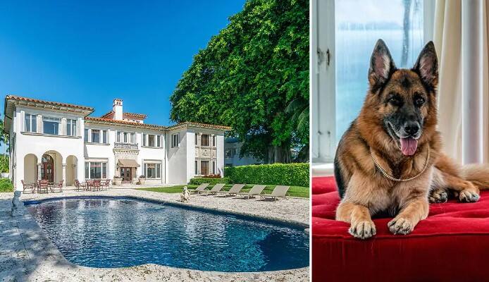 World's Richest Dog Gunther VI: जगातील अनेक श्रीमंत व्यक्तींबद्दल तुम्ही ऐकलं असेल, पण आम्ही तुम्हाला जगातील सर्वात श्रीमंत कुत्र्याबद्दल सांगणार आहोत.