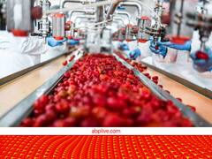 किसानों की आय को दोगुना करेगी नई फूड प्रोसेसिंग पॉलिसी, इस तरह मिलेगा सब्सिडी और लोन का फायदा