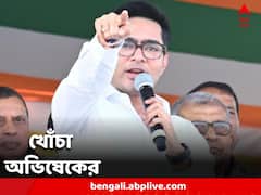'মনোনয়ন দিতে না পারলে আমাকে বলবেন,' বিরেধীদের বার্তা অভিষেকের