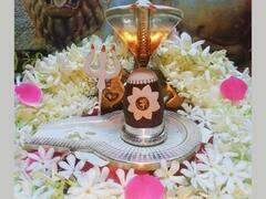 Falgun Month 2023 Upay: फाल्गुन माह में करें ये 6 उपाय, पति-पत्नी का रिश्ता होगा मजबूत, मिलेगा मनचाहा पार्टनर