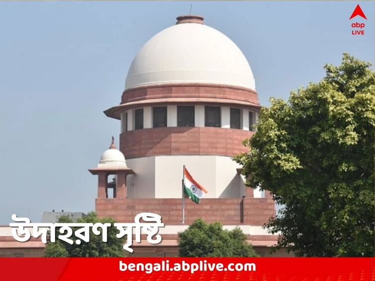 Supreme Court of India holds 40 minutes secret discussion inside CJI cabin for an unborn child Supreme Court: গোপনীয়তা রক্ষাকে অগ্রাধিকার, কলেজ ছাত্রীর গর্ভপাত মামলা, ৪০ মিনিটের রুদ্ধদ্বার আলোচনায় গৃহীত হল সিদ্ধান্ত