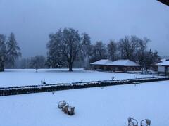 Snowfall : पर्वतीय भागात जोरदार बर्फवृष्टी, काश्मीरसह उत्तराखंडमध्येही सर्वत्र बर्फाची चादर