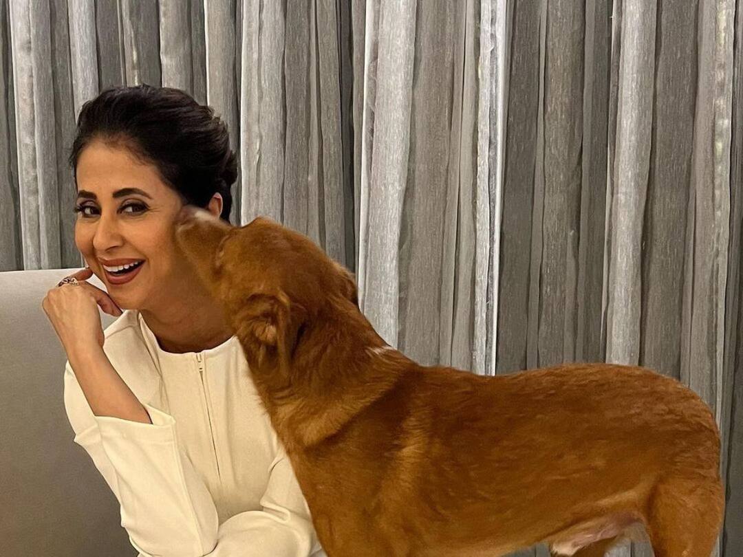  interesting facts about actress urmila matondkar Birthday Urmila Matondkar Birthday : एका गाण्यासाठी उर्मिलानं घटवलं होतं पाच किलो वजन, पण एका गोष्टीमुळं थांबलं करिअर 