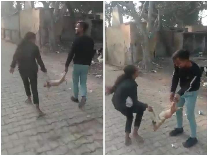 man and woman swinging a dog by its legs shocking puppy viral video जानवर कौन..? कुत्ते को टांगों से पकड़ झुला रहे हैं लड़का लड़की, Video देख लोगों का फूटा गुस्सा