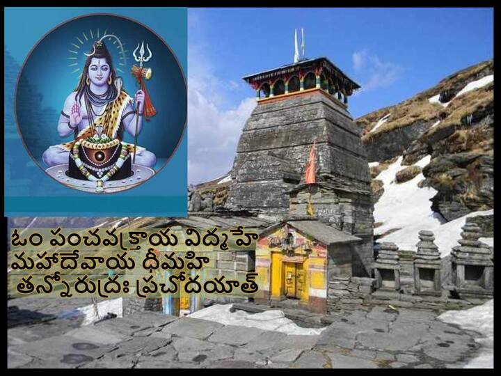 Tungnath Temple:  All about Uttarakhand's Tungnath Temple, The Highest Shiva Temple in the world, Maha Shivratri 2023 Special story Tungnath Temple History:  ప్రపంచంలోనే ఎత్తైన శివాలయం - పరమేశ్వరుడి బాహువులు పడిన ప్రదేశం ఇది