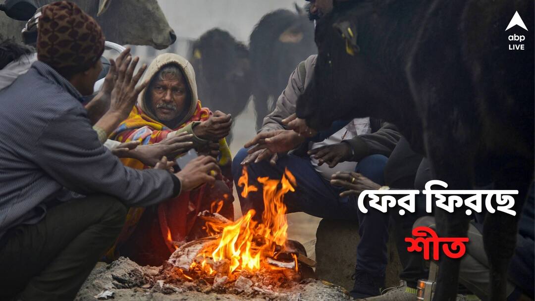 west bengal weather update kolkata winter February forecast Weather Today: ফেব্রুয়ারির শুরুতে ফের পারদ পতন রাজ্যে, কতদিন পর্যন্ত বজায় থাকবে শীতের আমেজ