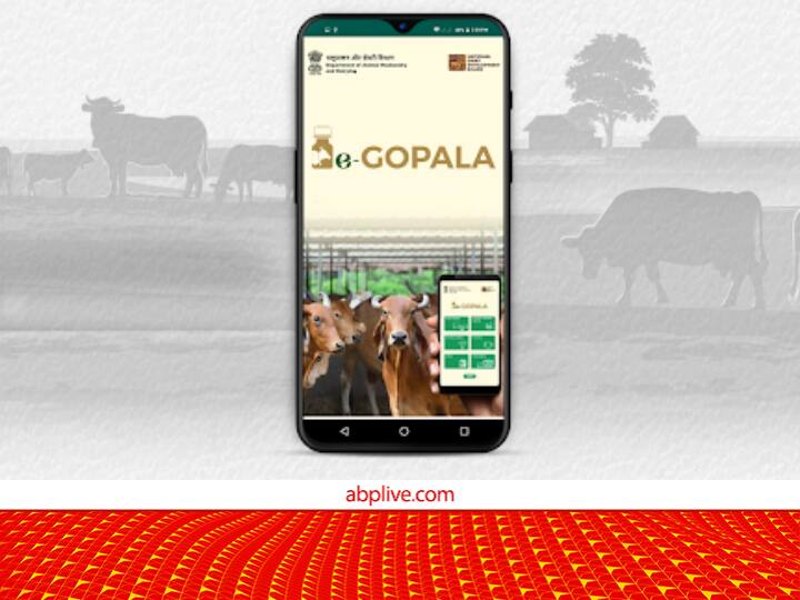E Gopala Mobile Application Provide Every Inform about animal husbandry and dairy farming E-Gopala App: पशुपालन-डेयरी से चाहिए मुनाफा तो यह एप करें डाउनलोड, यहां मिलेंगे दूध बढ़ाने के वैज्ञानिक तरीके