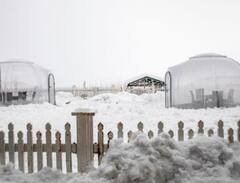 Glass Igloo : चहूकडे बर्फाची चादर... अन् निसर्गाचा सहवास, ग्लास इग्लू ठरतंय पर्यटकांचं आकर्षण