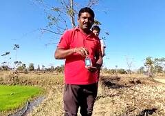 Bhandara : देशी दारुचा जुगाड, 'भाताची नर्सरी' हिरवीगार