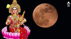 মাঘী পূর্ণিমায় শুভ যোগ, লক্ষ্মীর কৃপালাভ পেতে এই কাজগুলি করতে পারেন