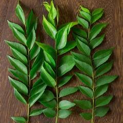 Curry Leaves : चमकदार आणि घनदाट केसांसाठी 'हे' सोपे उपाय