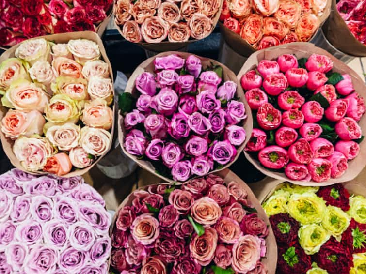 Happy Rose Day 2023 Where to buy roses for special person in chandigarh check details Happy Rose Day 2023: इस रोज डे पर 'खास' को रोमांटिक अंदाज में करें विश, जानें- चंडीगढ़ में कहां मिलेंगे सबसे अच्छे गुलाब के फूल