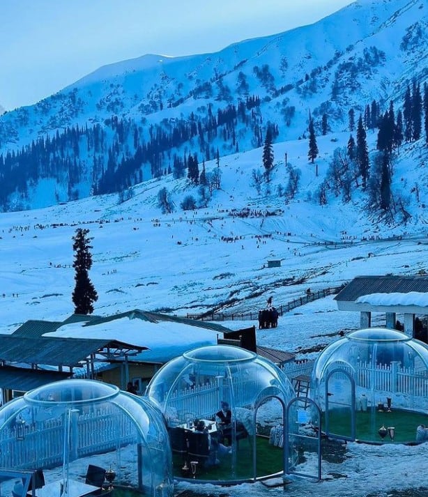 आता नव्याने तयार करण्यात आलेल्या ग्लास इग्लू रेस्टॉरंटला भेट देणाऱ्या पर्यटकांनी या संकल्पनेच्या नाविन्यपूर्णतेचे कौतुक केले आहे. येथील सुंदर वातावरणात जेवणाचा आनंद घेतल्याचं त्यांनी कौतुक केलं आहे. (PC : KolahoiPanorama/instagram)
