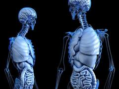 किस तरह एक-दूसरे से अलग हैं अल्जाइमर और डिमेंशिया...कौन-सी बीमारी है ज्यादा खतरनाक?