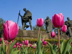 खुशनुमा हो रहा है दिल्ली-एनसीआर का मौसम, जानिए आज कितनी पड़ेगी सर्दी