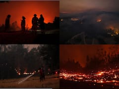 In Pics: Forest Fires Rage Across Various Regions Of Chile, Claim 23 Lives