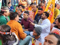 Bageshwar Dham: बागेश्वर धाम के समर्थन में उठी 'सनातन धर्म आयोग' की मांग, तस्वीरों में देखें जंतर-मंतर पर संत-साधुओं का जुटान