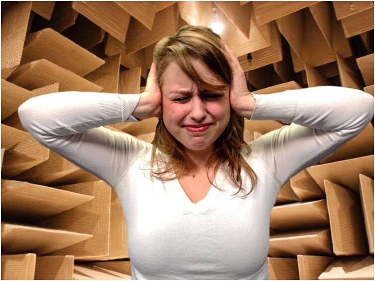 World’s Quietest Room – You can even hear the sound of your blood flowing in this room