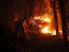 In Pics: Forest Fires Rage Across Various Regions Of Chile, Claim 23 Lives