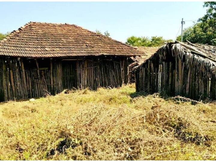 Narayanpur house of spirits built in this area of Chhattisgarh, it is abode of spirits ann Narayanpur: छत्तीसगढ़ के इस इलाके में बना है आत्माओं का घर, जानिए कैसे होता है आत्माओं का बसेरा